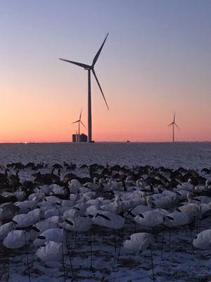 YESCO Sign & Lighting Service