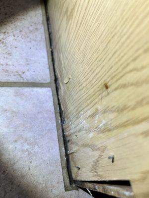 Kitchen cabinet water damage