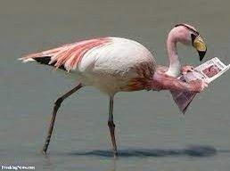 Adora Automotive Services