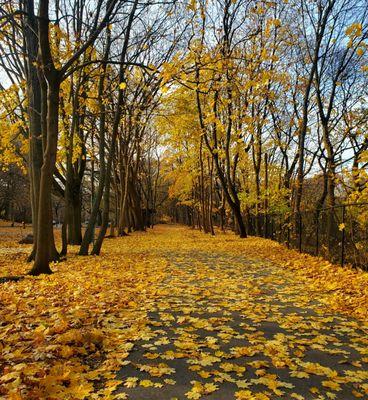 Chilly 1st day of December - 12/1/2024