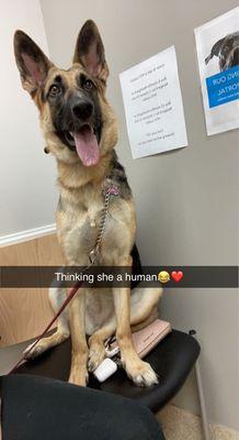 Angelcare Veterinary Hospital