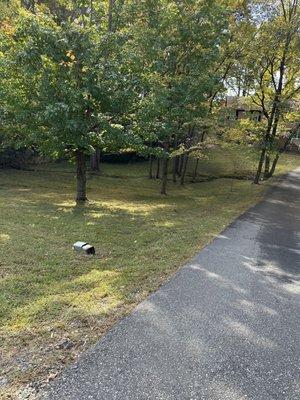 The Gardens Landscaping