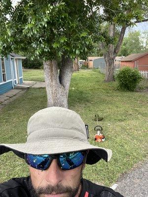 Big Bad Wolf Contract