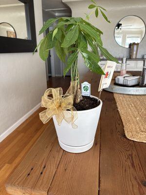 Heaven Scent Flowers And Gifts