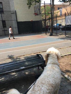 Dr Gertrude B Kelly Playground
