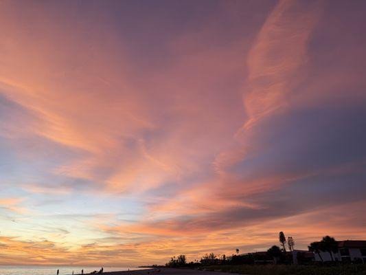 Little Gull Cottages