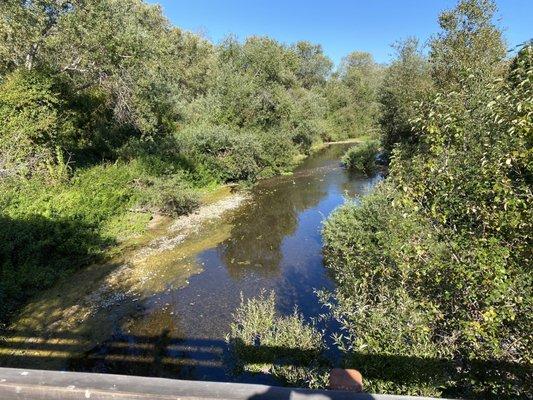 Walking bridges over the river