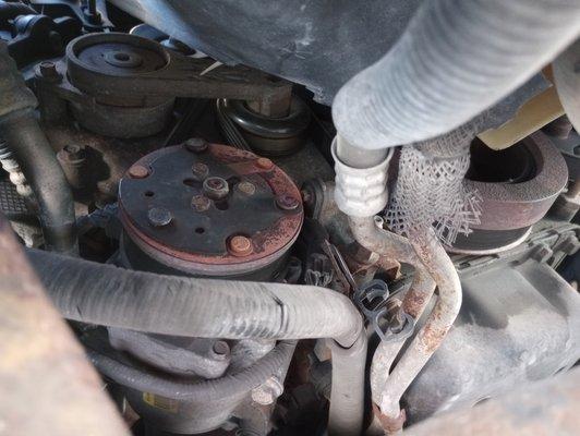 Derbi Pro The Auto Doctor