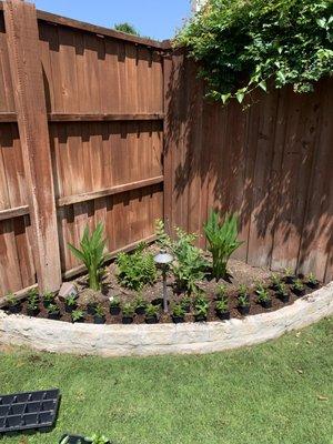 Clean Roots Landscaping