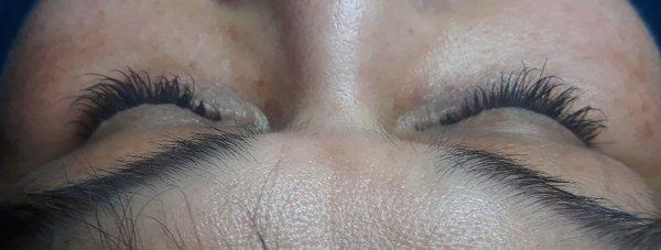 Natural volume lashes
#novalash
#eyelashextentions