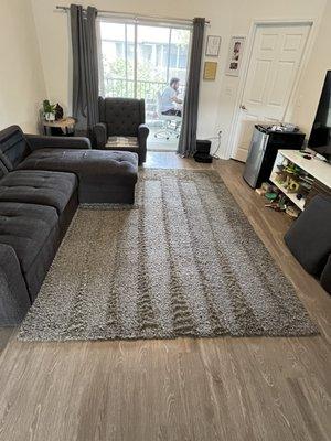 Blue Shark Cleaning Services