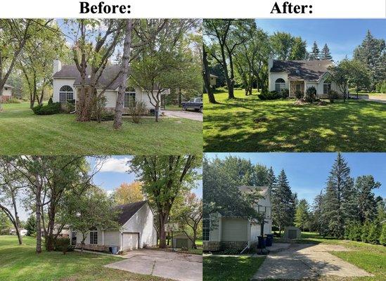 Adrian's Tree Service