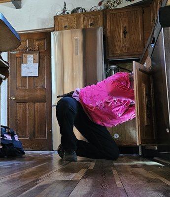 Above & Beeyond Pest Control