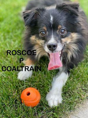 Fontenot Animal Hospital