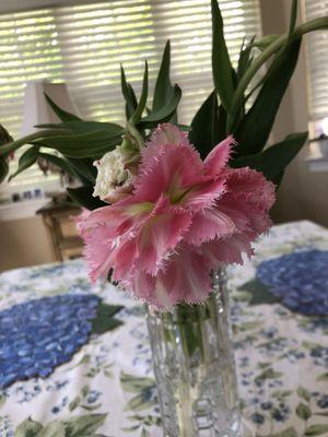 Henpecked Husband Nursery