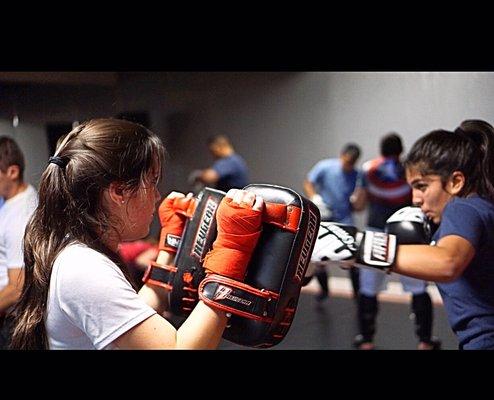 Arena Combat Sports / Kickboxing / BJJ / MMA