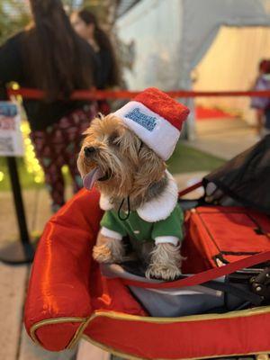 Sacred Hearts Academy