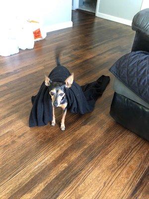 Sand Springs Small Animal Hospital