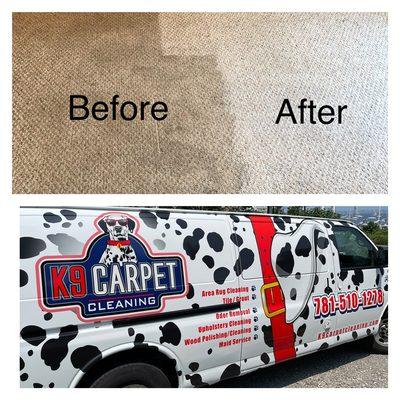 K9 Carpet Cleaning