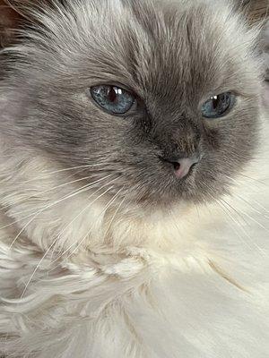 Dr. Sandy Block patient