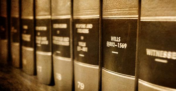 Terrell R. Lee - Vantage Point Legal