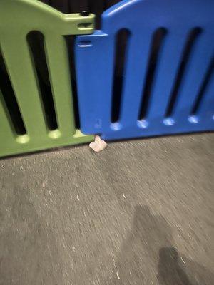 B&B Theatres- Shawnee 18