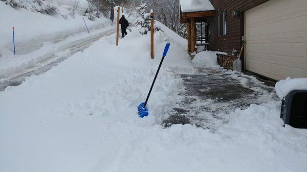 Ortega's Landscaping