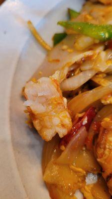 Raw shrimp - it's translucent! Cooked shrimp is white.