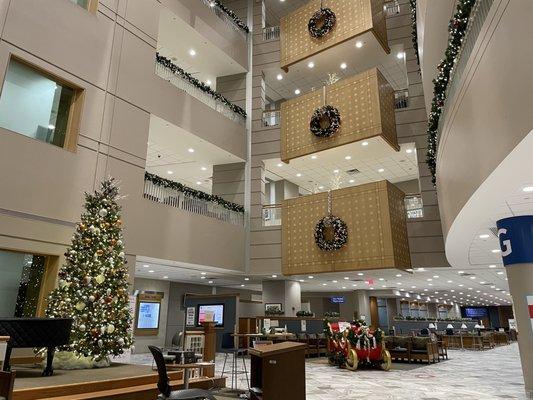 Roswell Park Comprehensive Cancer Center