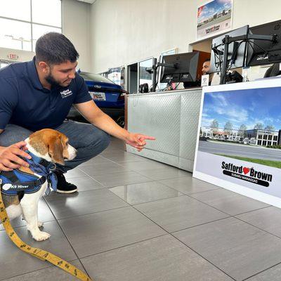 Safford Brown Subaru Manassas