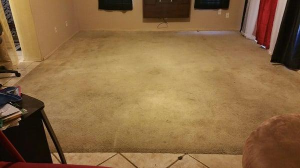 Brothers Carpet-Busters