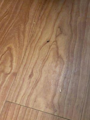 HomeTowne Studios Dallas - Mesquite