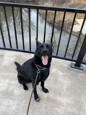 Our happy girl