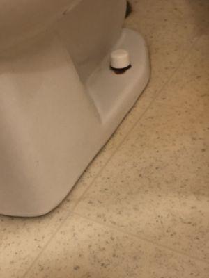 Karebear Cleaning Company