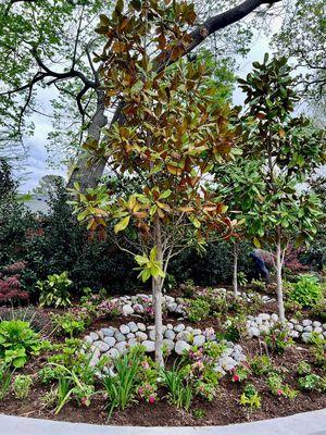 Streamline Landscape