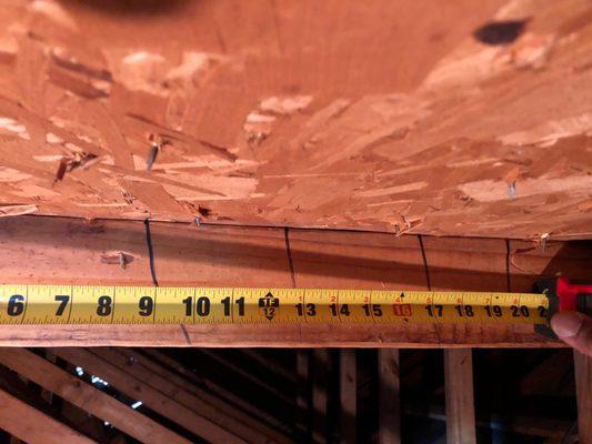 Citrus State Inspections