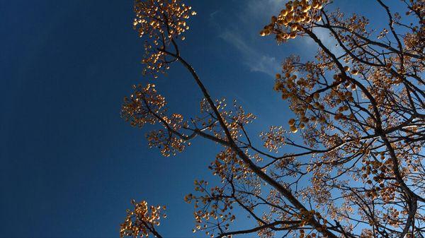 James Strunk Photography