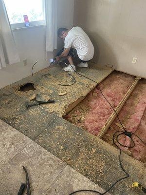 CFL Remodel and Renovations