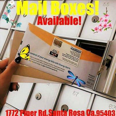 Mail Box Rentals