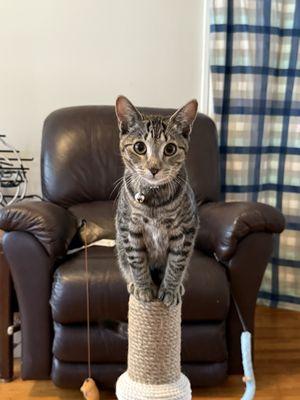 Stella and her crazy moves