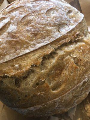 The Nocella's Eggcellent Homestead