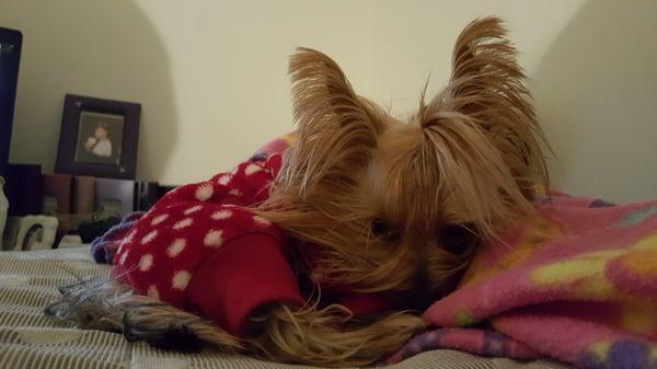 Laurel Park Apartments