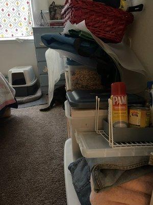 Creekside Village Senior Apartments