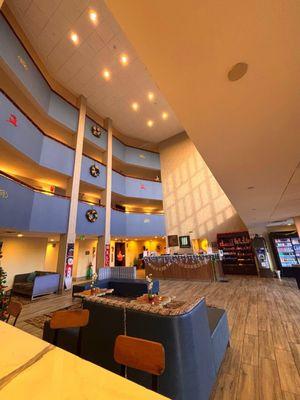 My view from the dining area (12/21/25)