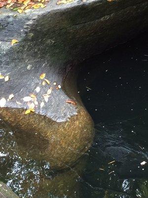 Sculptured Rocks Natural Area