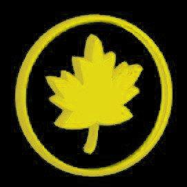 Ada Detective & Security Agency