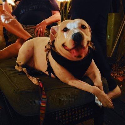 St. George's gay bar