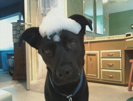 Barstow Head Start State Preschool