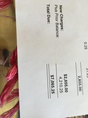 Elder abuse. This is the bill for an 80 yr olds taxes . This does not include the $3000. that I already paid them