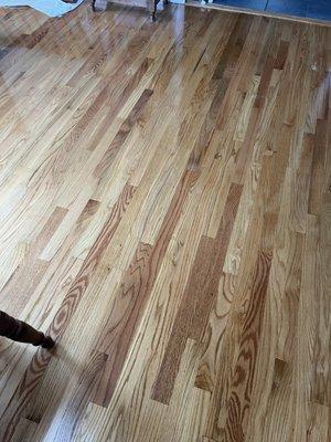 Bob & Son Floor Sanding